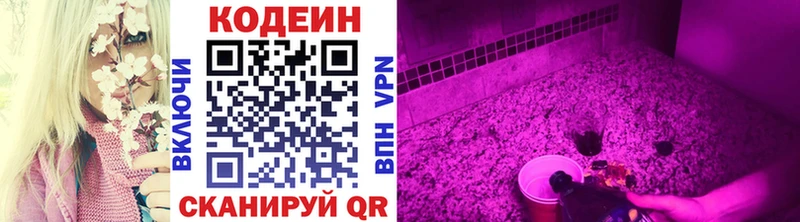 цены   OMG   Codein Purple Drank  Фёдоровский 