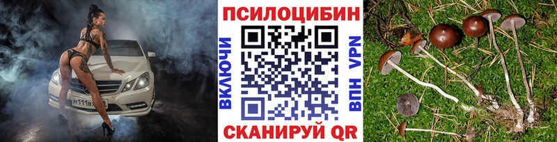 Галлюциногенные грибы ЛСД  Фёдоровский 